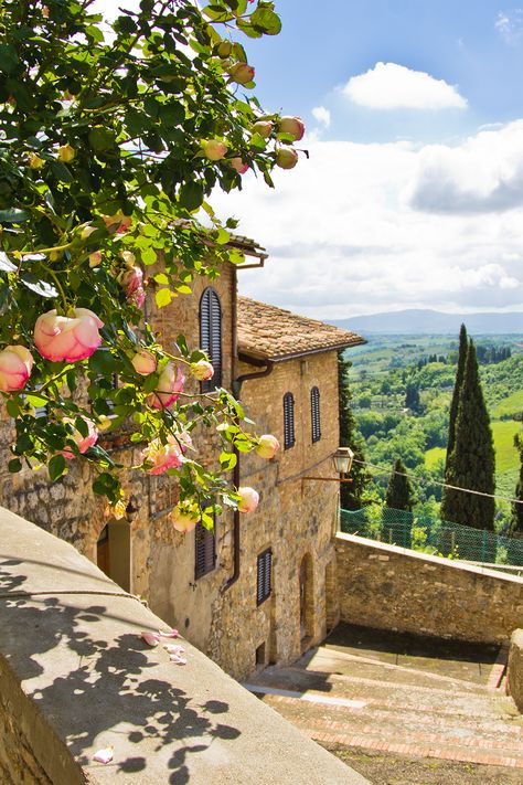 Italy Vibes, Under The Tuscan Sun, Italian Countryside, Italy Aesthetic, Europe Summer, Italian Summer, Tuscany Italy, Pretty Places, Dream Destinations