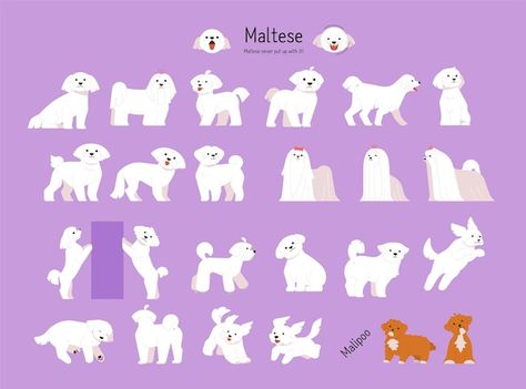 A collection of various maltese actions ... | Premium Vector #Freepik #vector #fun #dog #flat #white Maltese Dog Illustration, Action Pose, Logo Psd, Technology Icon, Card Banner, Poster Invitation, Presentation Template Free, Pattern Drawing, Create Image