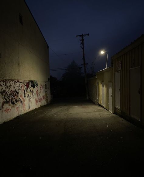 Back Alley Background, Reunion Aesthetic, Ruelle Sombre, Eerie Background, Alley Aesthetic, Late Night Pics, Eerie Photography, Night Walking Aesthetic, Dark Alleyway