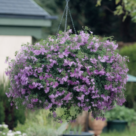 The 25 Best Hanging Basket Plants Hanging Basket Plants, Plants For Hanging Baskets, Hanging Basket, Hanging Baskets, Plants