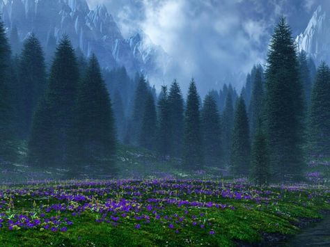 Mountain Meadow Twilight Forest, Computer Wallpaper Hd, Purple Flowers Wallpaper, Computer Wallpaper Desktop Wallpapers, 3d Landscape, Forest Background, Computer Backgrounds, Forest Wallpaper, Aesthetic Desktop Wallpaper