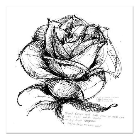 Derek Hess, Plant Sketches, Rose Sketch, Pen Art Drawings, Art Sketches Pencil, Flower Sketches, Sketchbook Art Journal, Art Painting Gallery, Pencil Art Drawings