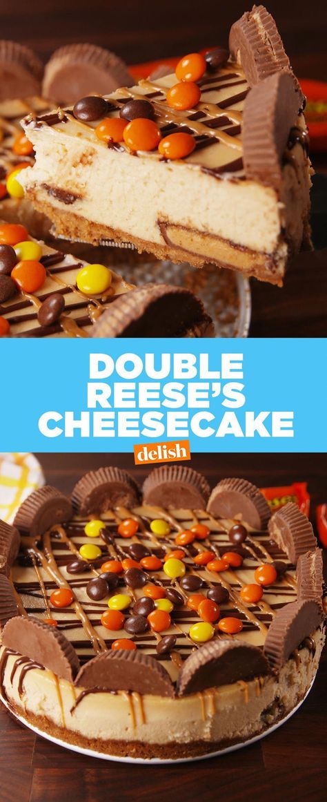 Sully Cake, Reeses Cheesecake, Savory Cakes, How To Make Cheesecake, Salty Cake, Peanut Butter Lovers, Chocolate Cheesecake, Savoury Cake, Easy Cake