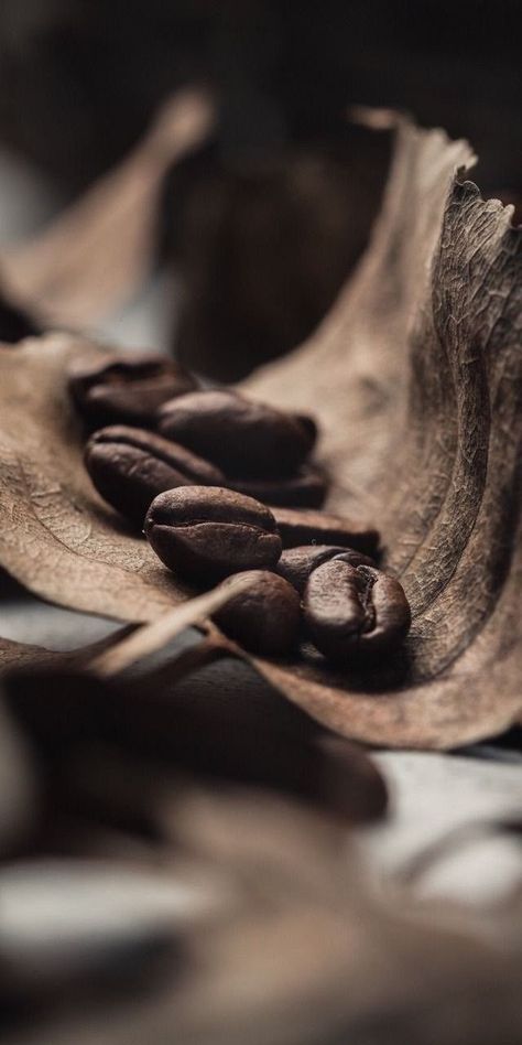 Coffee Beans Photography, Coffee Shop Photography, Coffee Shot, Food Photography Inspiration, Coffee Pictures, Coffee Photos, Coffee Photography, Foto Art, Chocolate Coffee