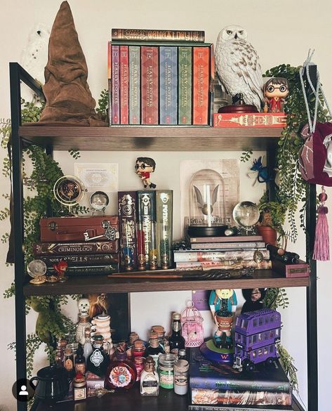 Harry Potter Shelf Display, Hogwarts Room Decor, Harry Potter Book Shelf, Harry Potter Aesthetic Room Decor, Harry Potter Themed House, Harry Potter Bookshelf, Harry Potter Room Decor Ideas, Book Corner Ideas Bedroom, Hogwarts Bedroom