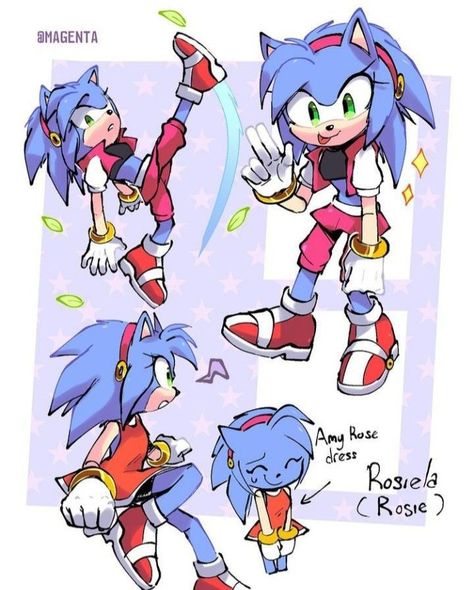 Superhero Stories, Hedgehog Movie, Sonic Heroes, Sonic And Amy, Sonic Fan Characters, Sonic Franchise, Hedgehog Art, Cute Animal Drawings Kawaii, Sonic And Shadow