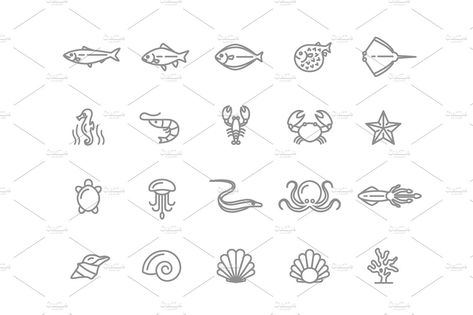 Coral Tattoo, Visual Communication Design, Communication Design, Fine Line Tattoos, Line Icon, Line Tattoos, Jellyfish, Body Mods, Visual Communication