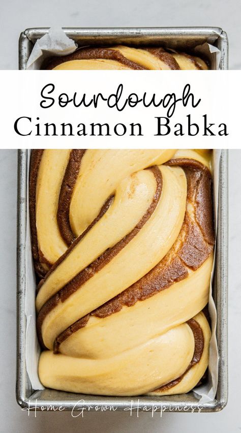 Indulge in the sweet, swirling flavors of my sourdough cinnamon babka. This step-by-step guide will help you create a stunning and delicious dessert that's perfect for sharing. Dive into sourdough baking with a twist! #SourdoughRecipes Cinnamon Babka Recipe, Sourdough Brioche, Cinnamon Babka, Easy Sourdough Bread Recipe, Brioche Dough, Recipe Using Sourdough Starter, Babka Recipe, Sourdough Bread Starter, Sourdough Starter Discard Recipe