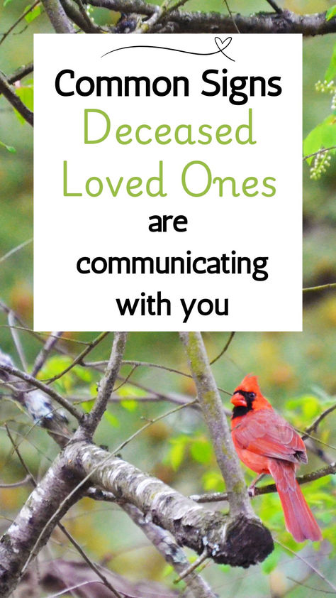 Is your loved one trying to connect with you from the other side? How would you recognize the common signs the spirit world sends us - check out the signs others have witnessed to bring comfort and healing in grief Kings Park Psychiatric Center, Finding Love Again, Coping With Loss, Viking Cruises Rivers, Visit Alaska, Moving To Florida, Getting A Puppy, Spirit World, Solo Female Travel