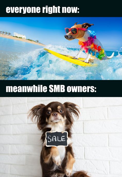 Let's celebrate the dedication of small & mid-sized business owners who tirelessly work year-round, sacrificing their own personal time, be it winter or summer. They deserve our utmost appreciation. 👏 #smallbusinessowners #EarlyBiz #SME #shoponline #memes #businessfun #funny Small Business Meme Funny, Small Business Owner Memes Funny, Text Marketing, Business Meme, Marketing Meme, Charlie Munger, Let's Celebrate, Lets Celebrate, Small Business Owner