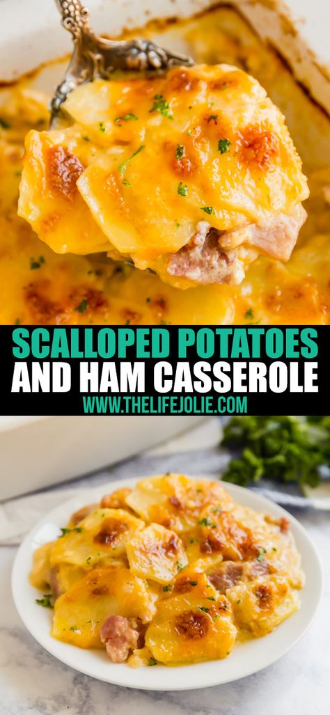 Potatoes And Ham Casserole, Scalloped Potatoes Ham, Ham And Potato Recipes, Ham Dinner Recipes, Ham Casserole Recipes, Homemade Scalloped Potatoes, Potatoes And Ham, Ham And Potato Casserole, Ham Dishes