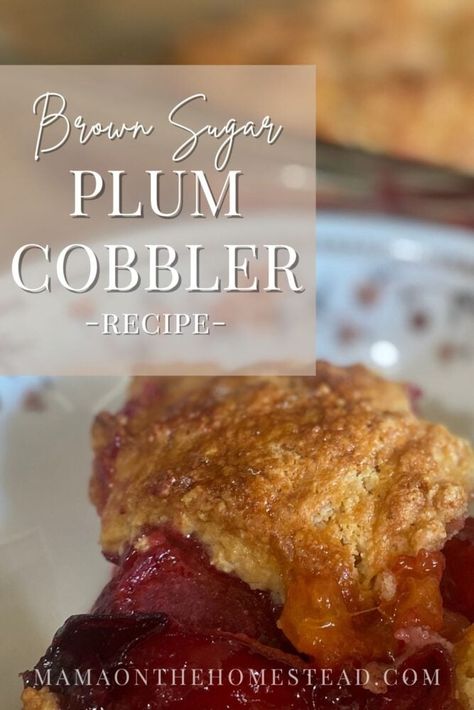 Plum Cobbler Recipe Easy, Plum Recipes Dessert, Plum Cobbler Recipe, Plum Cobbler, Plum Varieties, Cobbler Recipes Easy, Plum Recipes, Cobbler Topping, Chocolate Oatmeal Cookies