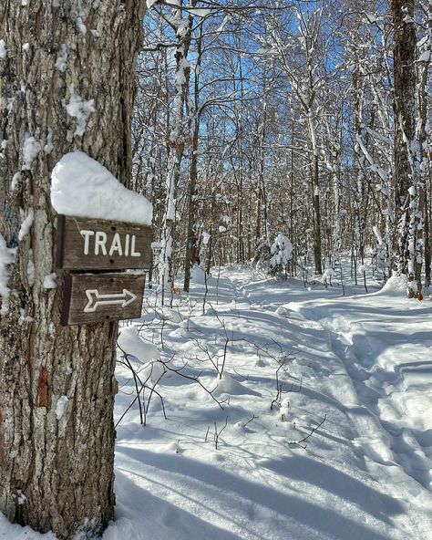 First snowy hike of the season at Woodford State Park. I missed the snow, and I forgot how much harder it is to walk through. Cheers to winter ❄️ Middle-of-the-day iPhone pics - my first snowscapes of the year. #vermont #vt #802 #ilovevermont #winterinvermont #vtstateparks #woodfordstatepark #vermontbyvermonters Winter In Vermont, Stowe Vermont Winter, January Mood, Vermont Winter, Snowy Cabin, Stowe Vermont, 2025 Year, Iphone Pics, Iphone Pictures