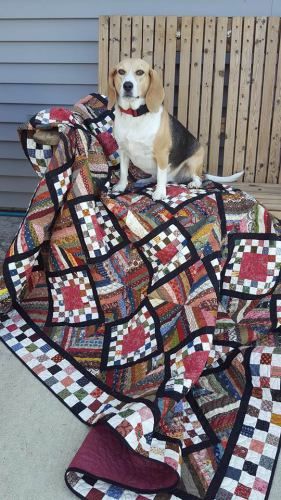 Bright Quilts, String Quilt, Bonnie Hunter, String Quilts, Strip Quilts, Colorful Quilts, Quilt Design, How To Finish A Quilt, Scrappy Quilts