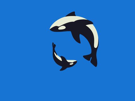 Whale Animation, Gif Animated, �강아지 그림, Orca Whales, Animation Reference, Art Minimal, Animated Stickers, 2d Animation, Stickers Online