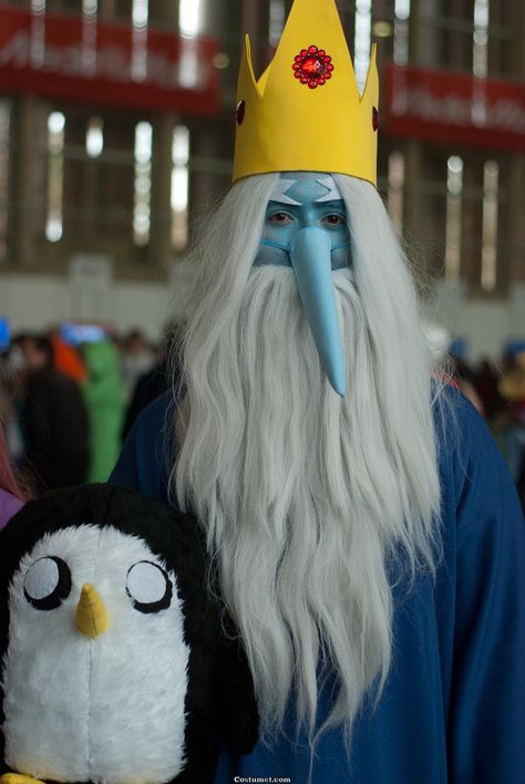 Ice King Costume, Ice King And Gunter, Adventure Time Ice King, Ice King Adventure Time, Adventure Time Costume, Time Costume, Cartoon Halloween Costumes, Adventure Time Cosplay, Beard Costume