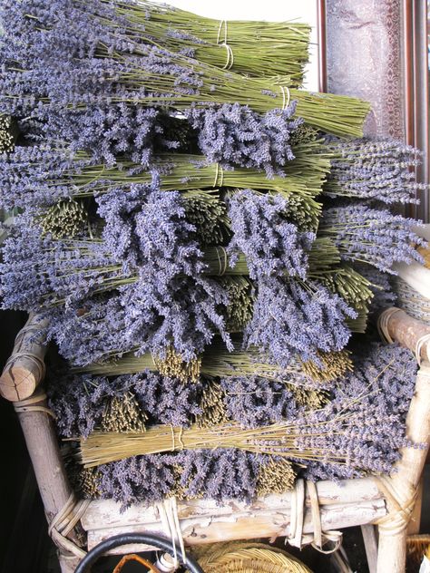 French lavender...can't you just smell it ! Makes you want to move to the south… French Lavender Aesthetic, Lavender Garden, Lovely Lavender, French Lavender, Lavender Blue, Spring Fling, Lavender Fields, Lavender Flowers, Provence