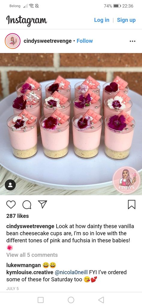 Cake Shooters, Cheesecake Shooters, Dessert Pots, Shot Glass Desserts, Cups Recipes, Pink Dessert, Vanilla Bean Cheesecake, Dessert Cups Recipes, Dessert Shooters