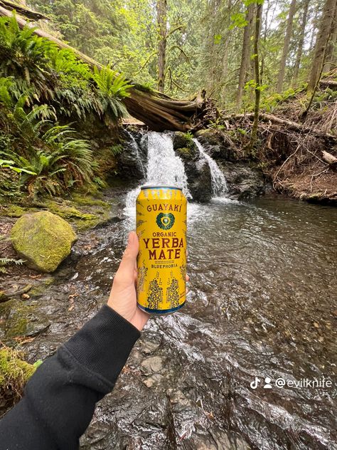 Guayaki yerba mate aesthetic nature waterfall bluephoria tea Yerba Mate Aesthetic, Mate Aesthetic, Guayaki Yerba Mate, Nicole Core, Nature Waterfall, Coffee Box, Social Media Marketing Content, Study Aesthetic, Yerba Mate