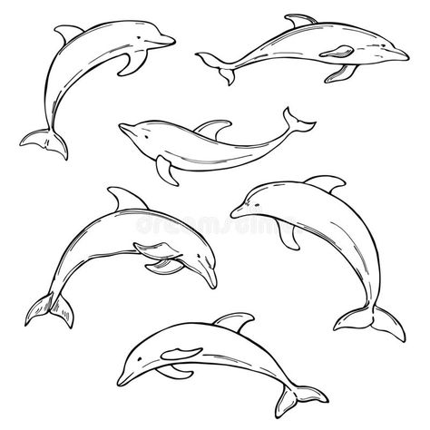 Dolphin Sketch Easy, Dolphin Sketch Tattoo, Dolphin Drawing Reference, Dolphin Swimming Drawing, Vintage Dolphin Illustration, Cute Drawings White Background, Drawings Of Ocean Animals, Dolphin Aesthetic Drawing, Dolphin Line Drawing