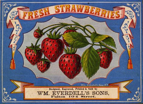 Vintage Clip Art - Strawberry Label                              …                                                                                                                                                                                 More Vintage Fruit Crate Label, Strawberry Stuff, Strawberry Clipart, Summer Wall Decor, Fruit Labels, Fruit Crate Label, Vintage Crate, Etiquette Vintage, Funny Fruit