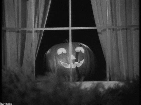 Halloween Animated GIF Creepshow Comic, Gif Halloween, Halloween Gifs, Princesa Serenity, Animated Halloween, October Country, Bump In The Night, Halloween Stories, Halloween Gif