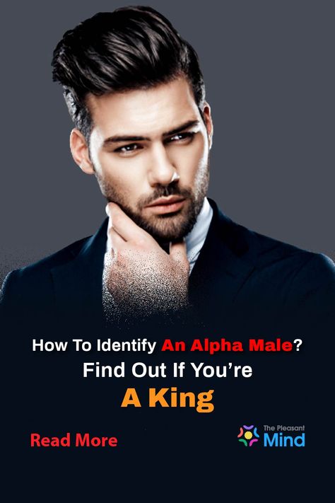 Do you want to know about alpha male traits? Are you curious about what makes them the best in the hierarchy? Or, perhaps, you wanna check if someone around you is an alpha male? Well, whichever the case might be, this think-piece is ready to spill all the tea. Alpha Male Tattoo Ideas, Alpha Male Tattoo, Quotes For Alpha Male, Sigma Vs Alpha Male, Alpha Male Characteristics, Male Tattoo Ideas, How To Chase An Alpha, Alpha Male Traits, The Alpha