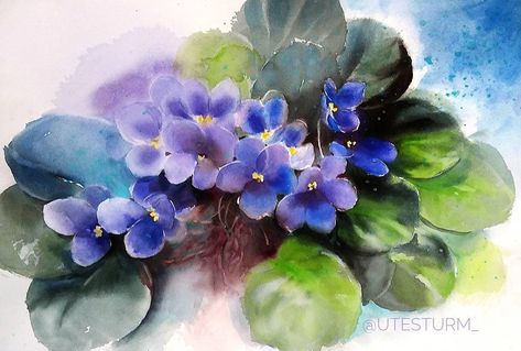 African Violet #watercolor #watercolorpainting #painting #watercolour #aquarell #aquarelle #artsy #myart #mygallery #flowers #flowersofinstagram #africanviolet #instaart #instagood #instaartist #illustration #wetonwet #utesturm Violets Painting, Floral Painted Furniture, Wet Flowers, Violet Watercolor, Postal Card, Illustrations Fashion, Paintings Pictures, African Violet, Tissue Paper Flowers