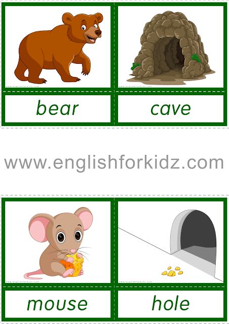 Animals and their homes, animals and their habitats Animals And Their Homes Worksheets, Animals House Preschool, Animals For Kindergarten, Animals And Their Habitats, Animals And Their Homes, Help Kids Focus, Baby Animal Names, Improve Reading Skills, English For Kids