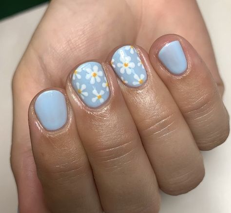 Light Blue Nails With Daisies, One Accent Nail Designs, Blue And Daisy Nails, Yellow Flower Nail Designs, White And Blue Flower Nails, Daisy Pedicure, Daisy Nail Art Designs, Baby Blue Nails Short, Blue Daisy Nails