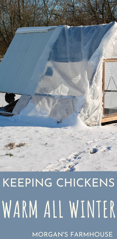 Are you worried about keeping your chickens warm in the winter? Heat lamps aren’t the only answer despite what the farm stores would like you to believe. In fact, there are much safer ways to keep the birds comfortable in the freezing temps. Chicken Coop Winter, Chicken Coop And Run, Coop And Run, Chickens In The Winter, Raising Chicken, Winter Fire, Homegrown Food, Raising Backyard Chickens, Backyard Flocks