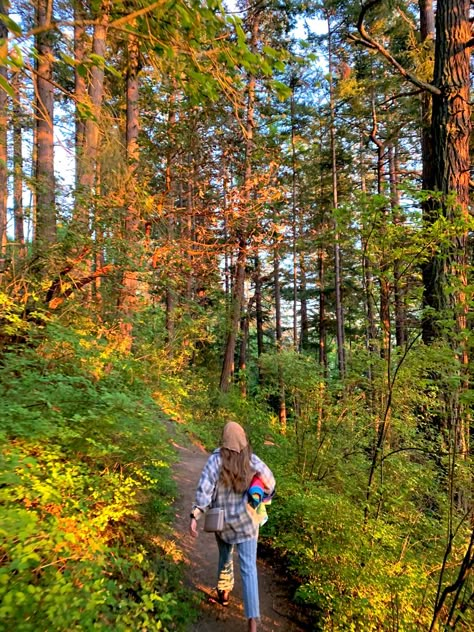 Summer Wilderness Aesthetic, Day Hike Aesthetic, Nature Hikes Aesthetic, Hiking Forest Aesthetic, Spring Hiking Aesthetic, Summer Aesthetic Camping, Happy Days Aesthetic, Camping Aesthetic Pictures, Hike Aesthetic Summer