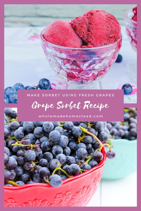 Homegrown grapes are incredibly delicious. But if you have an abundance and don’t know what to do with them, try turning them into a grape sorbet. Cooking With Grapes, What To Do With Grapes From Vine, What To Make With Grapes, What Can I Do With Concord Grapes, Grape Recipes Healthy, Fresh Concord Grape Recipes, Purple Grapes Recipes, Fresh Grapes Recipes, Old Grapes What To Do With