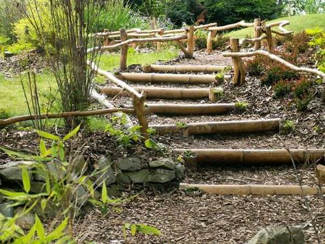 Outside Staircase Made of bamboo and Logs | Creative Garden Step & Stair Ideas | FarmFoodFamily Natural Landscaping, Rustic Backyard, Sloped Backyard, Garden Stairs, Outdoor Steps, Hillside Landscaping, Sloped Garden, Garden Steps, Outdoor Stairs