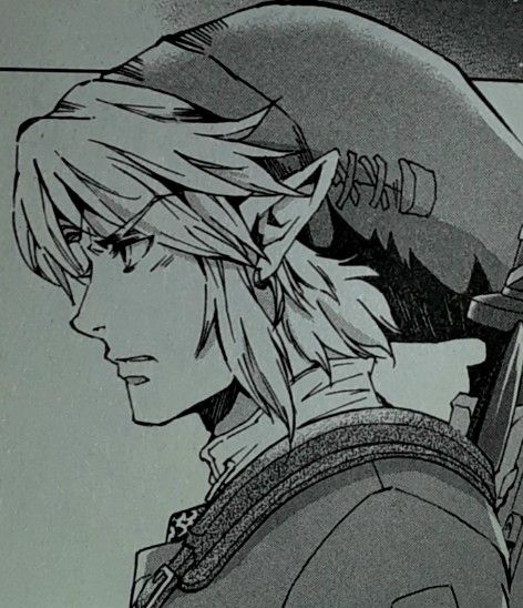 Twilight princess link from The Legend of Zelda Twilight princess manga created by Akira Himekawa Link Twighlight Princess, Link Pfp Twilight Princess, Link Fanart Twilight Princess, Link Tp Manga, Link Manga Panel, Twilight Princess Manga Link, Twilight Princess Link Pfp, Link Aestethic, Link Side Profile