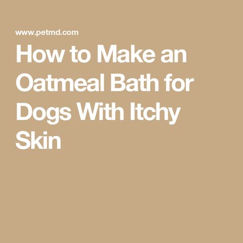 How to Make an Oatmeal Bath for Dogs With Itchy Skin Diy Dog Shampoo For Itchy Skin Homemade, Dogs Itchy Skin Remedy Itch Relief, Oatmeal Bath For Dogs, Dog Dry Skin Remedy, Oatmeal For Dogs, Diy Dog Shampoo, Dog Dry Skin, Diy Oatmeal, Essential Oils Dogs