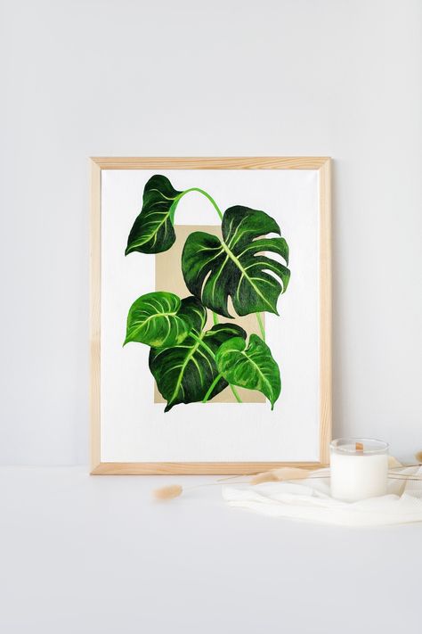 Excited to share the latest addition to my #etsy shop: 16x20 #Monstera painting Original #houseplant painting #Original #Boho art #Tropical plant #plantmom #Office #wallart #bohoart #plantart #green #sale #etsysale #plants #plantwallart #gifts https://etsy.me/3uPpYMB Monstera Plant Painting Acrylic, Monstera Deliciosa Painting, Monstera Wall Art, Monstera Painting Acrylic, Monstera Plant Painting, Plant Painting Acrylic, Green Plant Painting, Houseplant Painting, Plant Canvas Painting