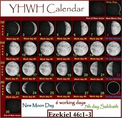 New moons and sabbaths Sabbath Calendar, Lunar Sabbath, Hebrew Calendar, Strength Bible Quotes, Devotional Topics, Messianic Judaism, Messianic Jewish, Bible Guide, Jewish Calendar