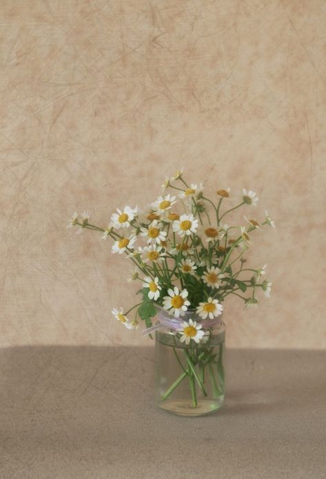 Sunflowers And Daisies, Daisy Wallpaper, Vintage Flowers Wallpaper, Daisy Bouquet, Daisy Love, Flowers In Jars, Flower Photography, Chamomile Flowers, Daisy Flowers