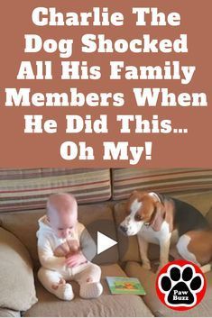 Laughing Hysterically, Wacky Hair Days, Cute Funny Babies, Summer Dresses For Wedding Guest, Thigh Recipes, Silly Dogs, Funny Cats And Dogs, Dogs And Kids, New Funny Videos