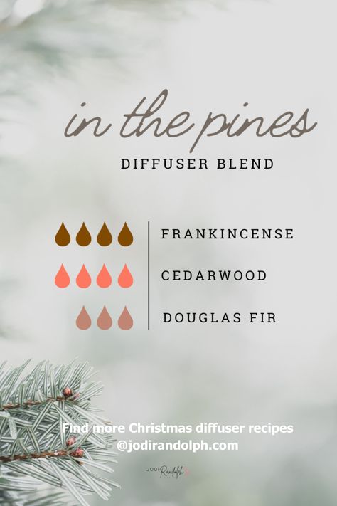 Add a touch of magic to your home this holiday season with our delightful 🎄 Christmas Diffuser Recipe! Featuring warm, festive essential oil blends, your house will smell like a winter wonderland! 🏡⛄️ Find more holiday diffuser recipes on my blog! Christmas Oil Diffuser Blends, Christmas Blends Essential Oils, December Essential Oil Blends, Christmas Doterra Diffuser Blends, Holiday Oil Diffuser Blends, Winter Oil Diffuser Blends, Doterra Christmas Blends, Holiday Essential Oil Diffuser Blends, Doterra Christmas Diffuser Blends