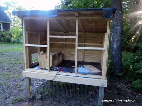 Build A Chicken Coop, Portable Chicken Coop, Keeping Chickens, Building A Chicken Coop, A Chicken, Bunk Bed, Chicken Coop, Coop, Bunk Beds