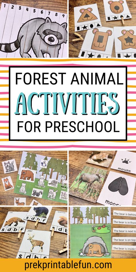 Forest Animals Dramatic Play Preschool, Forest Animals Dramatic Play, Forest Math Activities Preschool, Preschool Forest Animal Activities, Fall Animals Preschool Activities, Forest Animals Preschool Activities Free Printables, Preschool Deer Activities, Forest Activity For Preschool, Forest Theme Activities For Preschool