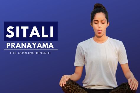 Sitali means which has &soothing effect &. The cooling effect of #sitalipranayama balances imbalance Kapha dosha. Perform it by Inhaling through extended rolled tongue and exhale through nostrils. #pranayama #breathing Sitali Pranayama, Pranayama Benefits, Kapha Dosha, Gyan Mudra, Yoga Teacher Resources, Pranayama Breathing, Yoga Trainer, Chronic Constipation, Fever Reducer