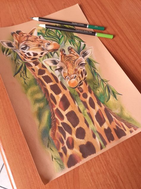 Castle Art Colored Pencils, Castle Art Pencils, Animal Drawings Colored Pencil, Realistic Animal Drawings Colour, Giraffe Drawing Realistic, Water Colour Pencil Drawing, Giraffe Drawings, Colored Pencil Art Ideas, Realistic Flower Drawing