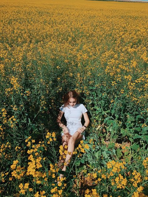 Yellow Wildflower Photoshoot, Mustard Field Aesthetic, Yellow Flower Photoshoot, Yellow Field Photoshoot, Mustard Field Photoshoot, Yellow Flower Field Photoshoot, Daffodil Photoshoot, Flower Field Photoshoot Photo Ideas, Field Of Yellow Flowers