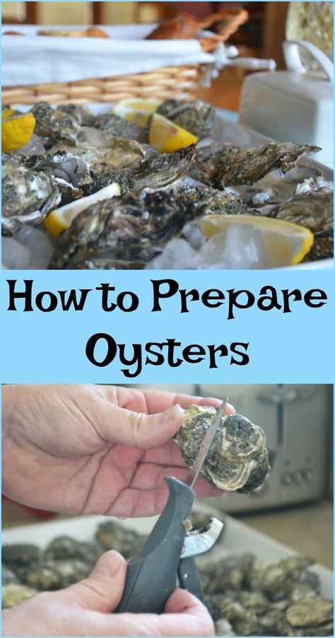 How To Make Oysters, Oyster Night, Steamed Oysters, Oyster Shucking, Cooked Oysters, Dessert Sushi, Oyster Roast, Grilled Oysters, Shucking Oysters