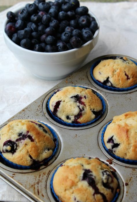 Blueberry Muffin Recipe Easy, Muffins Blueberry, Homemade Blueberry Muffins, Easy Blueberry Muffins, Potatoes Easy, Best Blueberry Muffins, Simple Muffin Recipe, Parmesan Potatoes, American Recipes