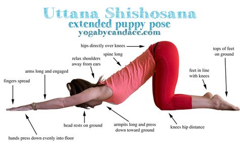 Pin it! How to do extended puppy pose. Great for the spine and shoulders. #yoga Puppy Pose Yoga, Reformer Exercises, Puppy Pose, Men Yoga, Yoga Vinyasa, Yoga Anatomy, Yoga Pictures, Yoga Iyengar, Yoga Posen