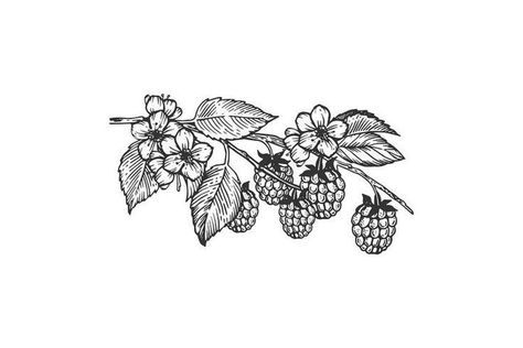 Back Of Arm Nature Tattoo, Raspberry Tattoo Design, Raspberry Bush Tattoo, Raspberry Branch Tattoo, Unique Nature Tattoos, Raspberry Branch, Woodland Tattoo, Raspberry Tattoo, Blackberry Tattoo